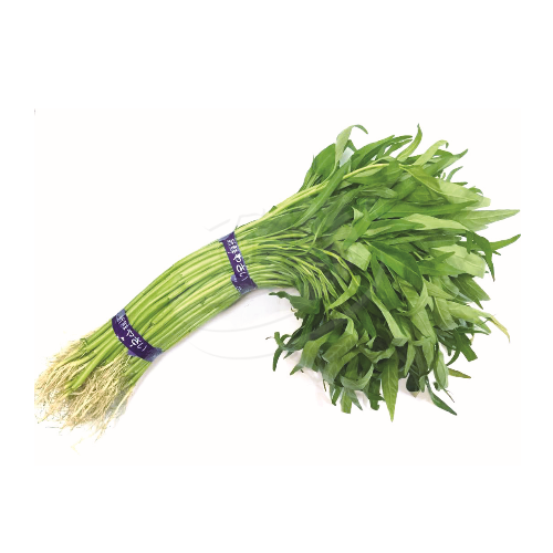 Maxco Kangkong 