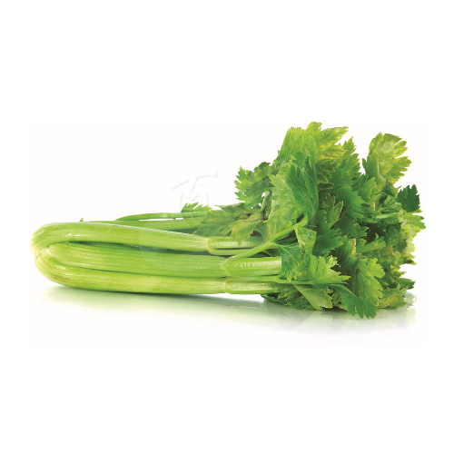Maxco Chinese Celery 