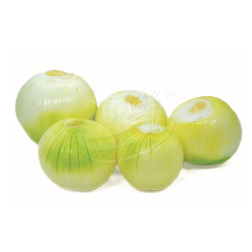 Maxco Yellow Onion 