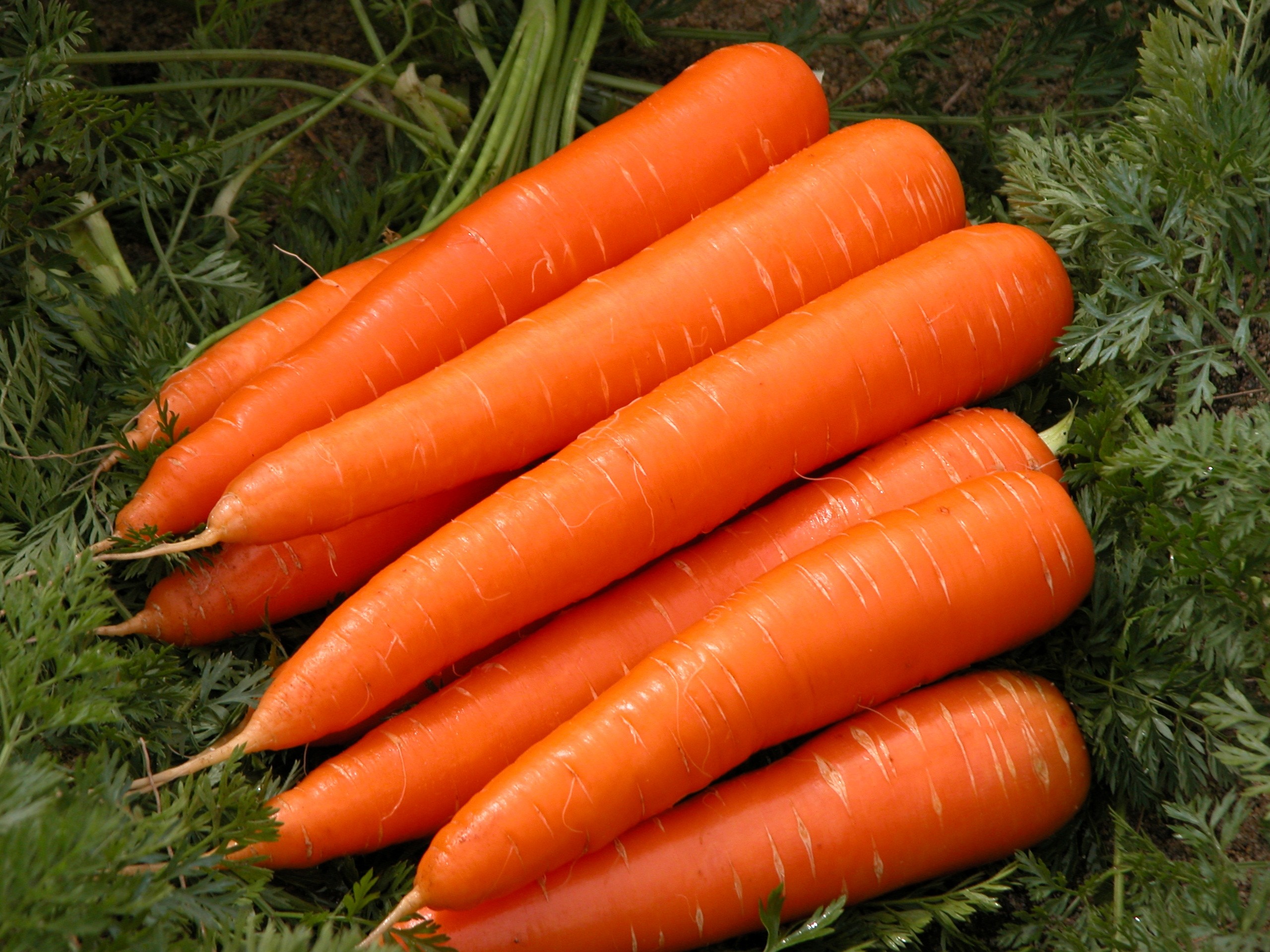 Carrot (கேரட்) 500g