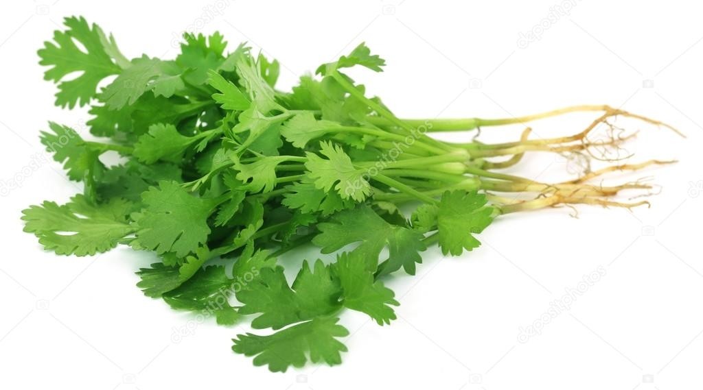 Coriander Leaf (கொத்தமல்லி இலை) 100g