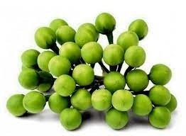 Sundakkai 200g [Fri & Sat delivery only]