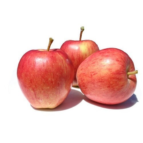 Gala Apple