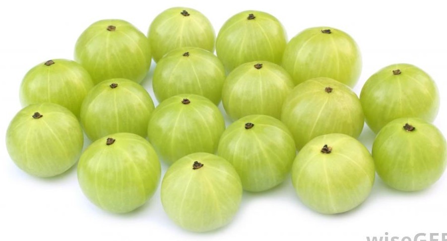 Gooseberry Or Amla (நெல்லிக்காய்) 