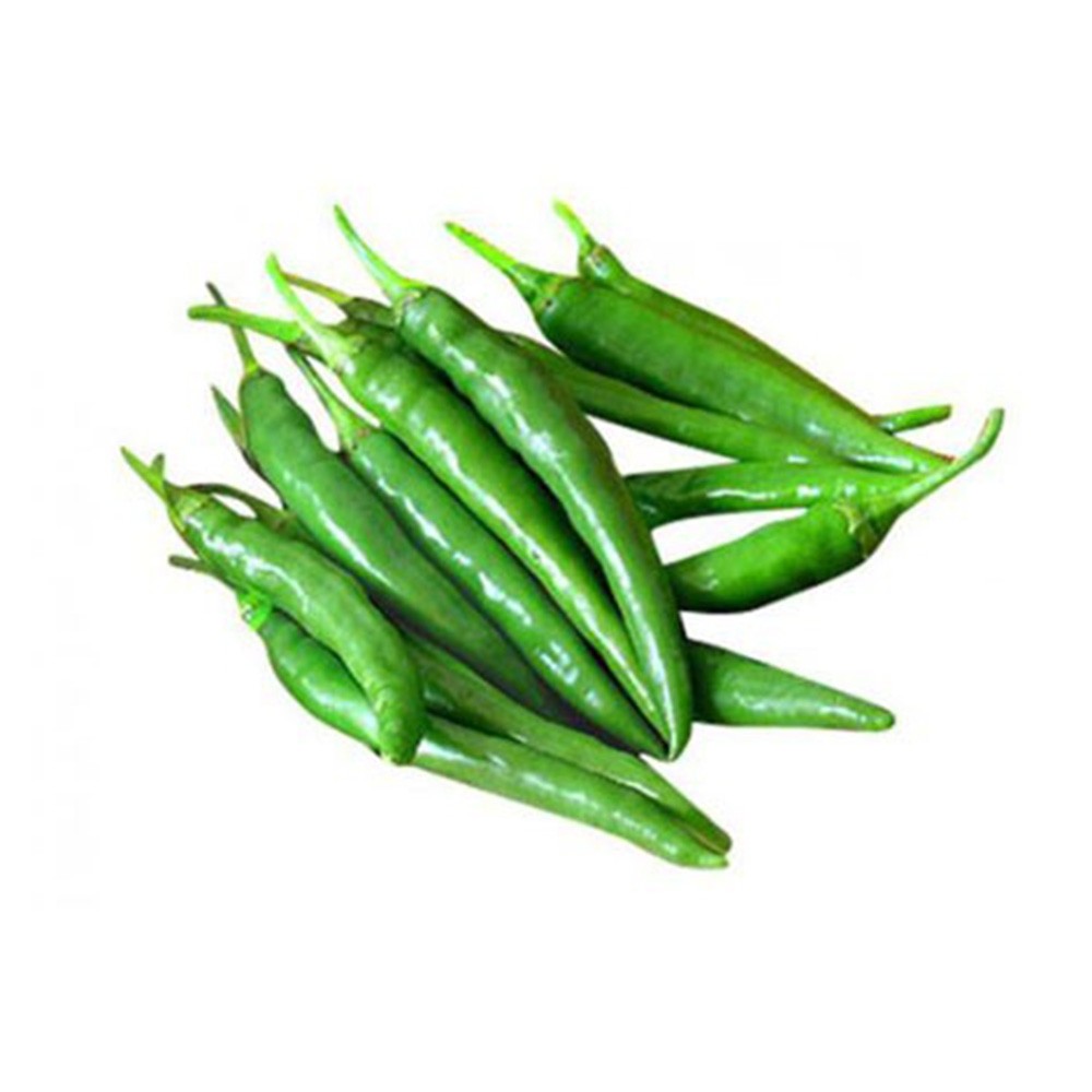 Green Chilli Padi (பச்சை மிளகாய்) 