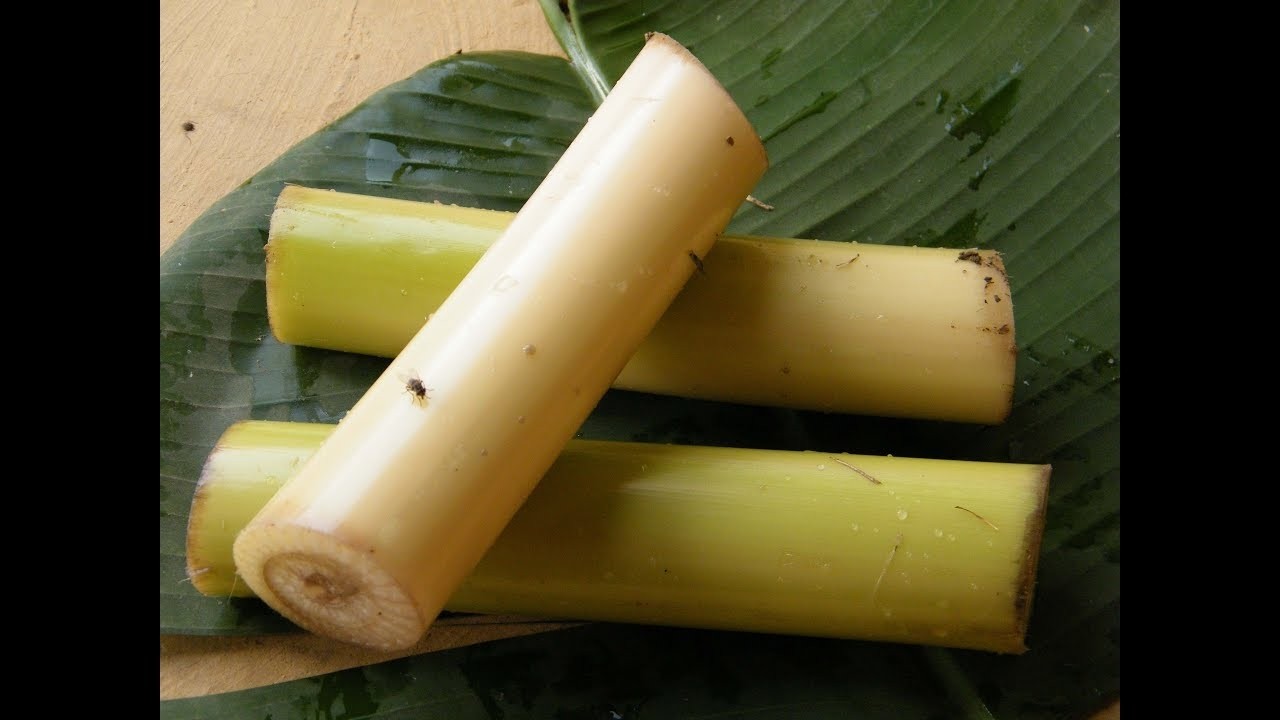 Banana Stem (வாழை தண்டு) [Sat delivery only]