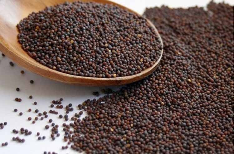 Komalas i100 Mustard Seeds