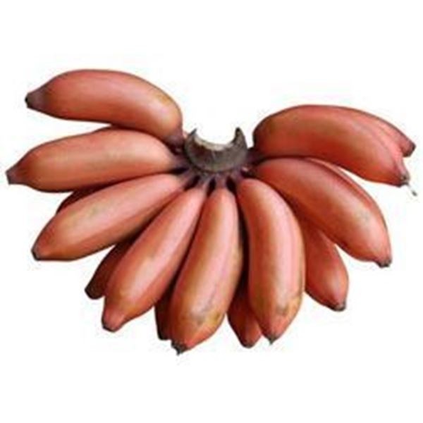 Red banana 1 kg 