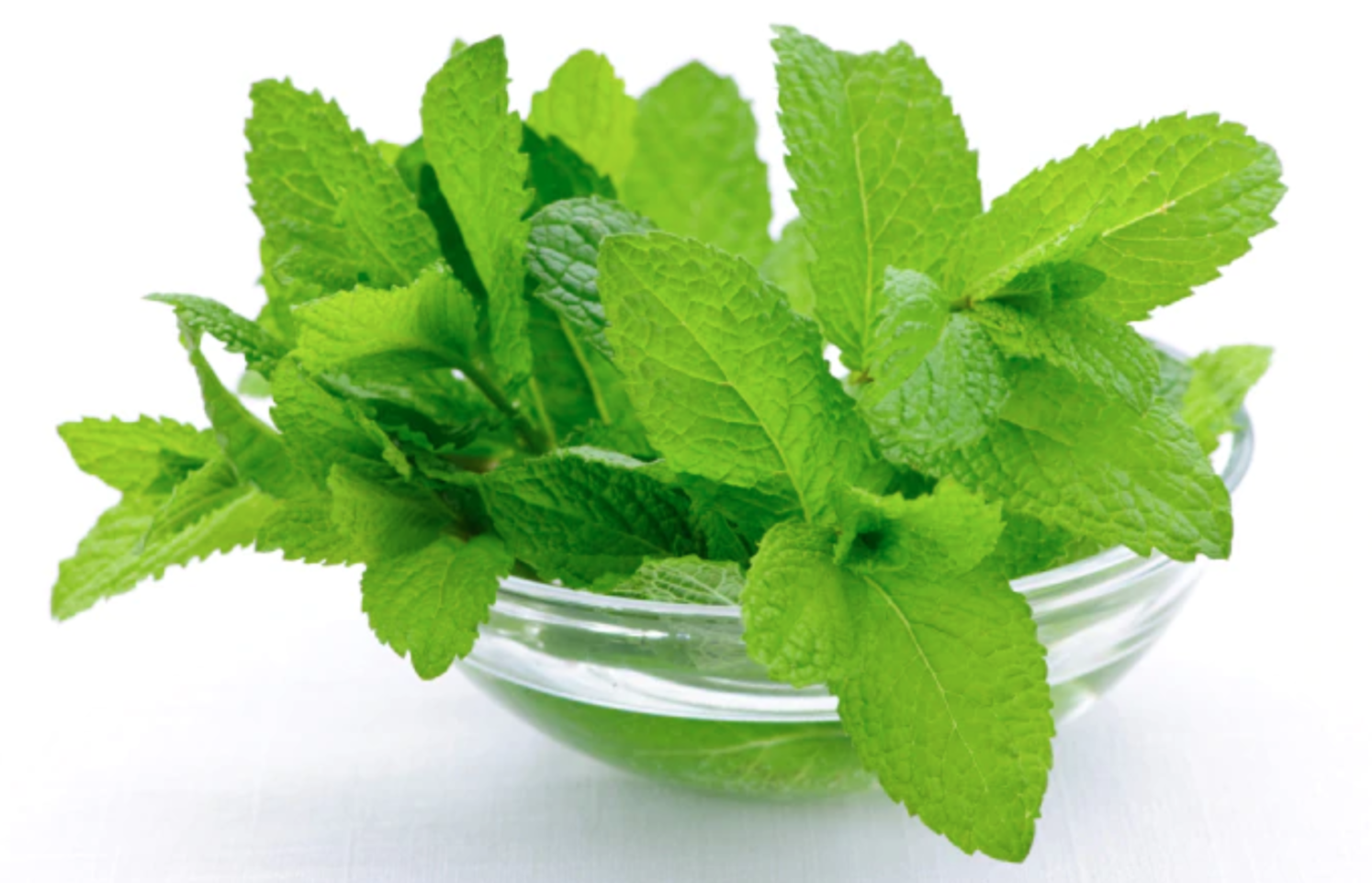 Mint Leaf (புதினா இலை) 100g