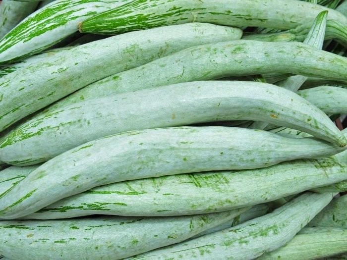 Snake Gourd malaysia (புடலங்காய்) 400g to 600g