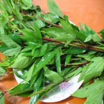 Sorrel Leaves (புளிச்சக்கீரை)