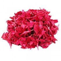 Red Arali Packet
