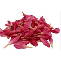 Pink Arali Packet 