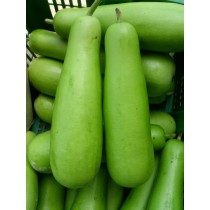 Bottle Gourd (சுரைக்காய் மலேசியா ) 1pc