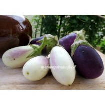 Brinjal Malaysia (கத்தரிக்காய் மலேசியா) 500g