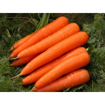 Carrot (கேரட்) 500g