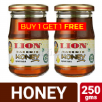 Lion Kashmir Honey 250gm