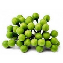 Sundakkai 200g [Fri & Sat delivery only]