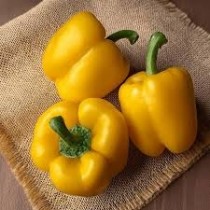 Yellow Capsicum (குடை மிளகாய்) 500g [Fri & Sat delivery only]