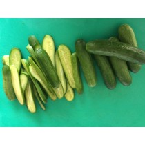SMALL CUCUMBER 500G [Fri & Sat delivery only]