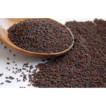 Komalas i100 Mustard Seeds