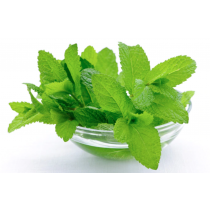 Mint Leaf (புதினா இலை) 100g