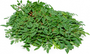 DRUMSTICK Moringa leaves (முருங்கை கீரை)