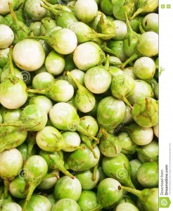 Brinjal White ( வெள்ளை கத்தரிக்காய் ) 500g