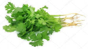 Coriander Leaf (கொத்தமல்லி இலை) 100g