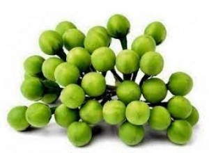 Sundakkai 200g [Fri & Sat delivery only]