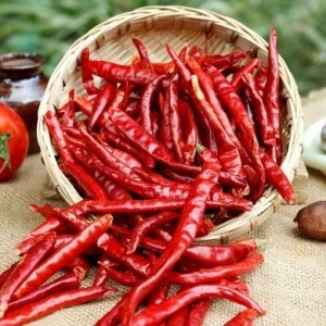 Komalas i100 Dry chilli long 250g