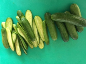 SMALL CUCUMBER 500G [Fri & Sat delivery only]
