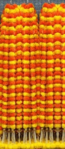 SG1 Decoration Garland 