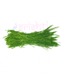 Arugampul Packet 