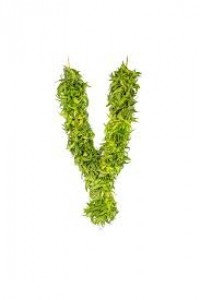 Veppilai Maalai (Neem leaf garland)